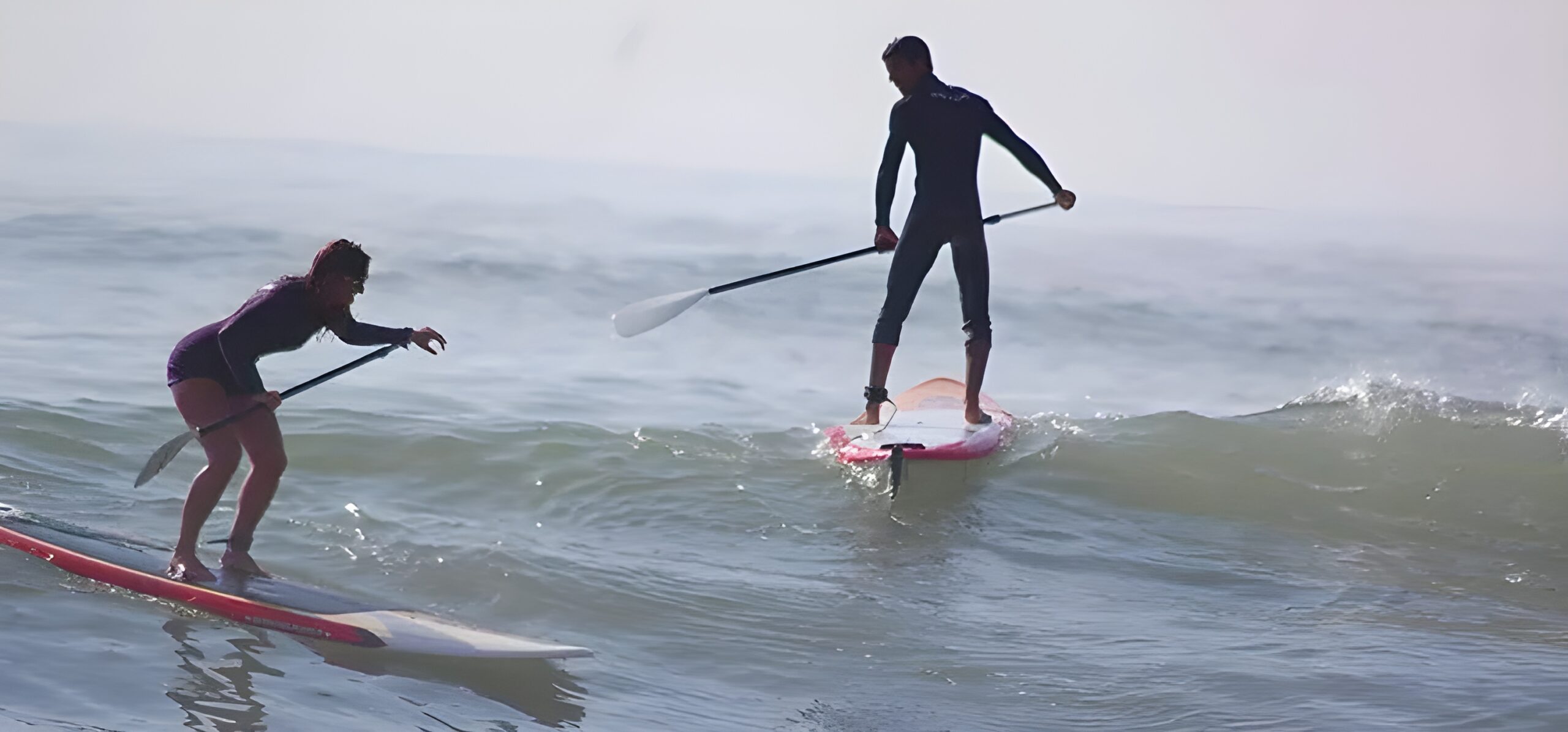 Stand Up Paddle (4)