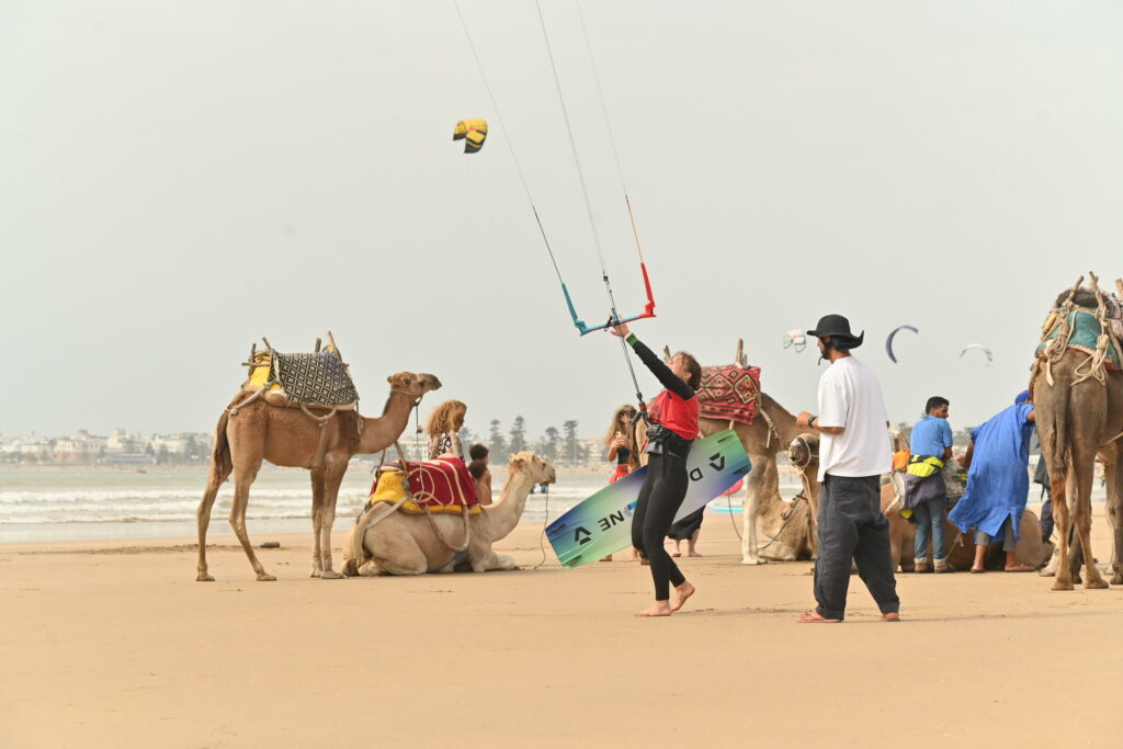 Kitesurfeur et chameaux sur la plage d’Essaouira surf au maroc | kitesurfeur et chameaux sur la plage d’Essaouira | 3